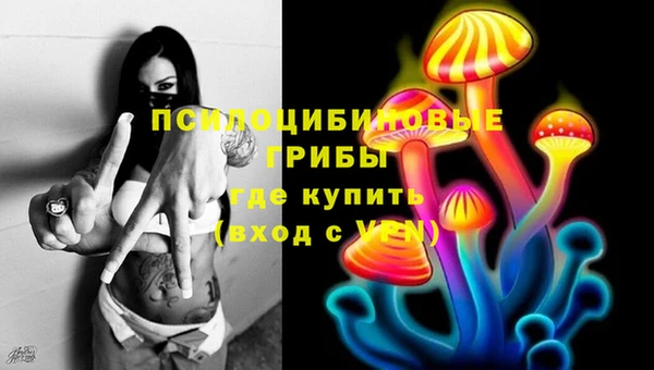 первитин Алексеевка