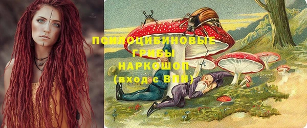 ECSTASY Алзамай