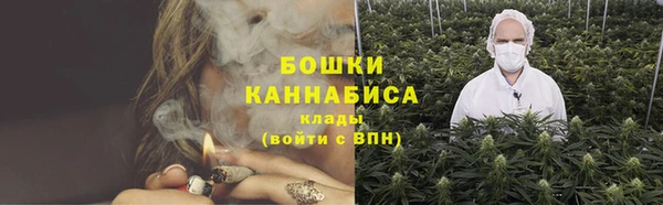 тгк Дмитров
