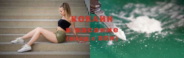 ECSTASY Алзамай