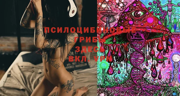 ECSTASY Алзамай