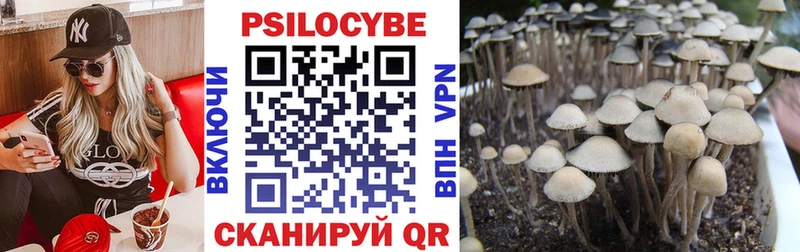 Псилоцибиновые грибы мухоморы  Бердск 
